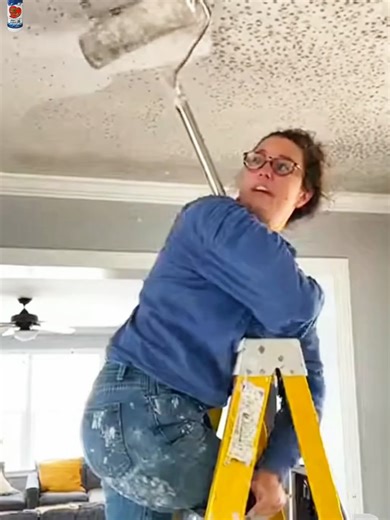 Effective Mold Removal Techniques for Your Home