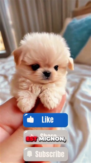 IL LÂCHE UN FAUX CROCODILE DANS LA RIVIÈRE… LA RÉACTION EST INCROYABLE 😱🐊