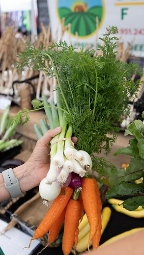 It feels good knowing your produce is locally sourced. Produce from grocery store chains often travel 1,500 to 2,500 miles before it reaches your plate. We’d rather get ours straight from the source: hardworking local farmers! At the Fairwood Farmers Market, our vendors grow their produce in nearby agricultural areas- some are even located less than 10 miles away! Starting May 13, make the farmers market part of your weekly grocery routine 😎🥬💛 #spokanefarmersmarket #fairwoodfarmersmarket#shop