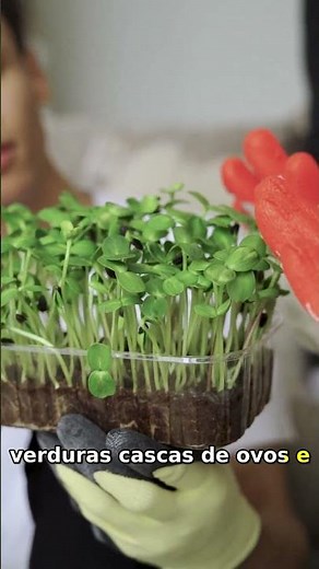 Como Fazer Compostagem Rápido e Fácil: Transforme Resíduos em Adubo!