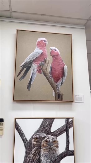 Linda Lunnon MSA | Here is a wonderful, virtual tour of The Holmes Prize For Realistic Australian Bird Art exhibition - thanks to @sunshinecoastartframing for... | Instagram