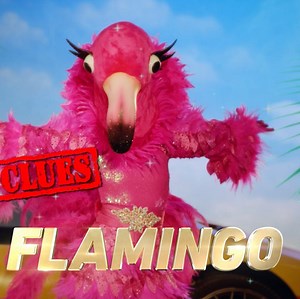 61K views · 826 reactions | Who do YOU think Flamingo Mask is!?  | The Masked Singer | Facebook