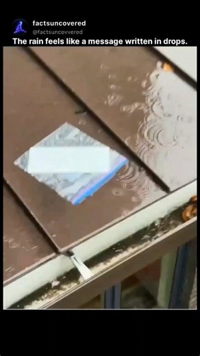 FactsUncovered on Instagram: "The video tutorial shows a step-by-step The video depicts rain pattering on a metal roof, with audio fed into -a curator of viral clips-it quickly amassed 3,400+ likes and 121,000 views, with replies humorously decoding the "rain language" as scrambled passwords or tipsy confessions. This highlights Al speech recognition's quirks with non-verbal sounds, echoing studies like a 2023 IEEE paper showing 40-60% error rates for environmental noises, turning a mundane stor