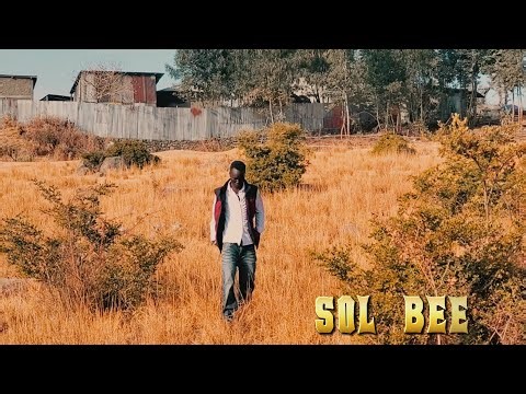 SOL_BEE_-_LA TIMA JI ( official visualizer )