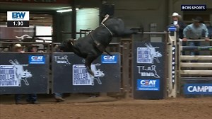 11K views · 434 reactions | PBR presents the American Bucking Bull Million Dollar Futurity. The future superstar bovine athletes compete for big money! The Top 34 bulls from a four-event qualifier system compete in a four second competition with a mechanical dummy on their back. Each bull is given a score by five judges with a possible score of 100 points. Which stock contractor will leave with the big check? | PBR | Facebook