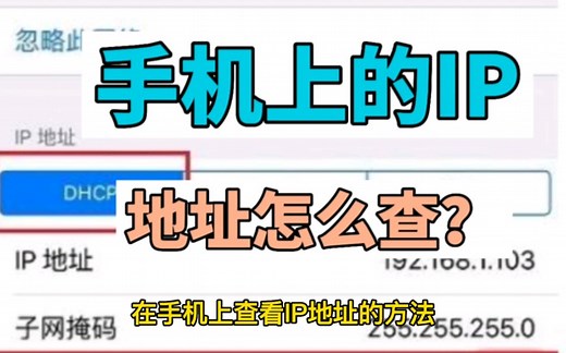 手机上的IP地址怎么查看？