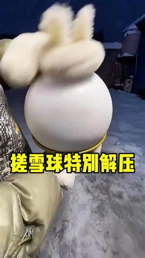 搓雪球的小技巧！ #搓雪球 #解压 #趣事 #有趣