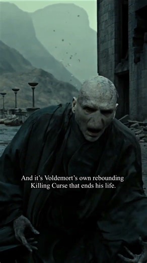 Harry and Dumbledore similiraty in Harry Potter