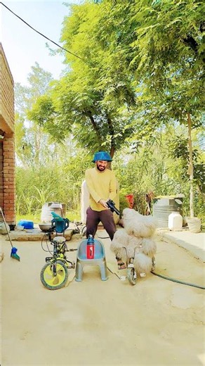 Kya kar diya isko isne😱 #funny #trending #comedy #aasvking #mrkingsaabaa #ytshorts