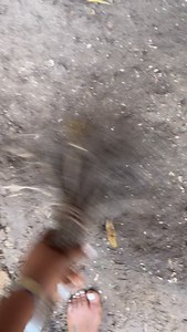 See the original country broom yah | Susan Williams