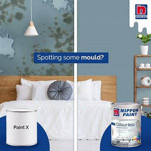 1.3K views · 57 reactions | In our hot and humid country, our walls are more prone to fungus and mould growth  Defend against both with Nippon Paint! All our interior paints are formulated with anti-fungal and anti-mould properties for long-lasting protection. ️ Get our line of anti-fungal, anti-mould interior paints at https://www.nipponpaint.com.sg/store/product-category/interior-paints/ Featured colour: Rocky Reef NP N 3295 T | Nippon Paint Singapore | Facebook