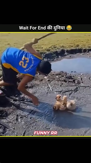 लोगो के Funny 😂 कारनामे देखने के लिए Ready हो जाओ || #funny #funnyfails #shorts