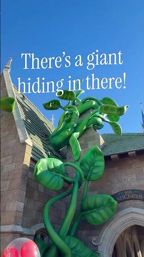 You gotta see what’s hiding in this Disney Park Gift Shop!