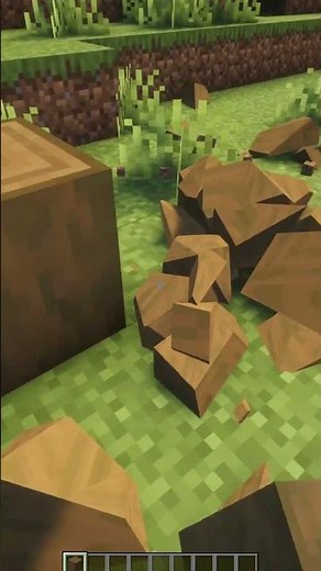 Stripped Spruce Log Physics in Minecraft