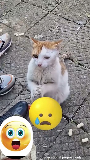 Introducing the "VitalWear SmartBand," a next-generation wearable gadget