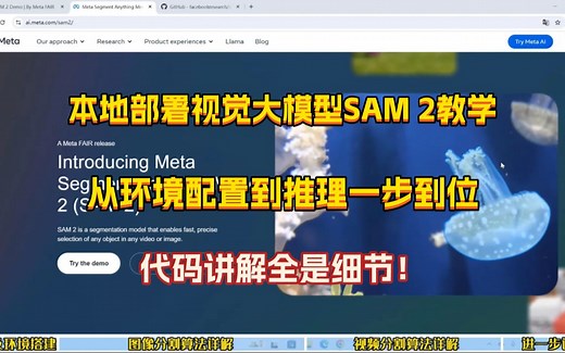 分割一切！本地部署视觉大模型SAM2教学，从环境配置到推理一步到位！