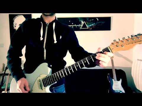 Elixir Optiweb vs Polyweb