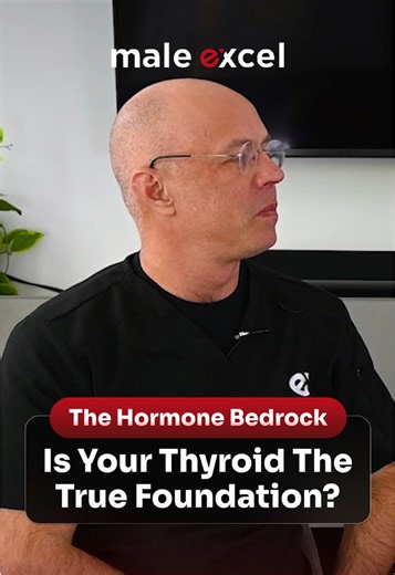 Thyroid is the foundation of hormonal health — and often more critical than testosterone. It supports: 💪 Muscle growth and fat metabolism 🧠 Mood, libido, and cognitive function 🫀 Cardiovascular and digestive health 🔥 Energy and metabolic rate Despite this, thyroid dysfunction is commonly missed or under-treated — especially in men. At Male Excel, we assess the full endocrine system to deliver targeted, personalized hormone therapy. 💪 Click the link in our bio 👉 (@maleexcel) to take your FR