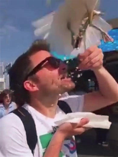 Seagulls snatching food #fyp #funnyvideos #funny #usa | Seagull