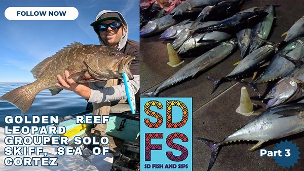 Yellowfin Tuna Fishing | San Diego Sportfishing | Ranger 85 Offshore Part 3