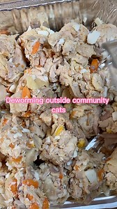 3.3M views · 10K reactions | Deworming outside community cats ❤️ #cats #cat #feralcat #feralcats | Help stray cats in Wilmington Delaware | Facebook