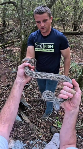 Snake Slithered Right By Me And I Had No Clue, Good Thing It Didn’t Wanna Bite! #snake #animals #nature #wildlife