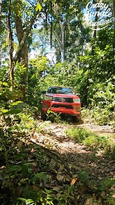 Clearing Fallen Trees & Fixing Washed-Out Bridges! 🌳🌊🔥 #JungleLife #RoadClearing #offgridliving | Crazy jungle adventures