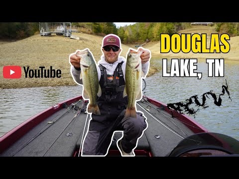 Bass Fishing Douglas Lake, October 24, 2025.
