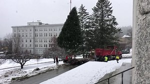 2.9K views · 58 reactions | 2018 Annual State House Christmas Tree | Vermont DMV | Facebook