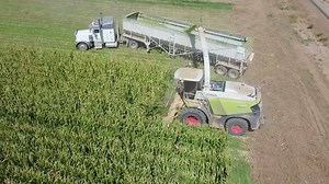 Robinson Farms on Reels