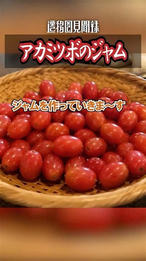 アカミツボのジャム #shorts #cooking #料理 #異世界 #遷移圏