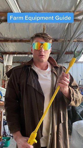 The Surprising History of the Cattle Prod