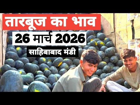 26 March 2026 🍉तारबूज़ का भाव साहिबाबाद मंडी Today Watermelon Rate Sahibabad Mand |Bharat ke Bazar