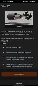 The plant rotates frequently in the clinostat (in the absence o... | Filo