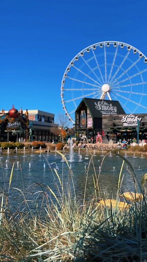 14 reactions | Christmas lights are going up all over Pigeon Forge ✨ The Island’s Light Walk is the perfect place to stroll, sip, and soak in all the holiday magic! ❄️ #Christmas #lights #island #TheIsland | Honeybear Hideaways | Facebook