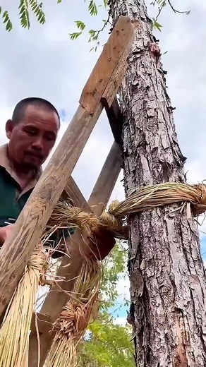 #technique #farming #safety | A See Facts