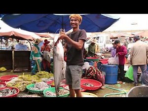 Amazing Fish Distribution Market | Vivid Business Activities at Fish Depot | Fish & Food For Lives