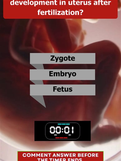 Embryo, ovum, and hormones — test your knowledge of the human reproductive system with this quick biology quiz 🧬 Can you answer them all correctly? Watch till the end and challenge yourself! #biologyquiz #reproductivesystem #embryo #learnontiktok #humanphysiology