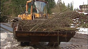 Local recycling locations for trees, brush and other landscape debris