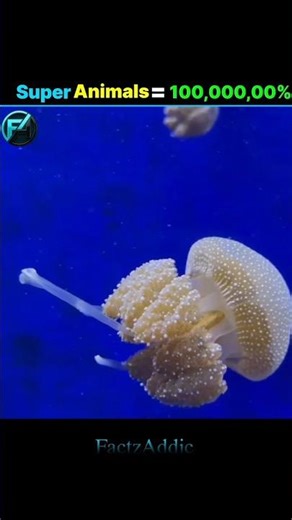 💪Super Animals You Didn't Know Existed #shorts