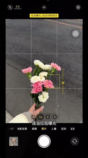 Spring Flower Photography: Capturing the Essence of Blossoms with Live Photo Editing