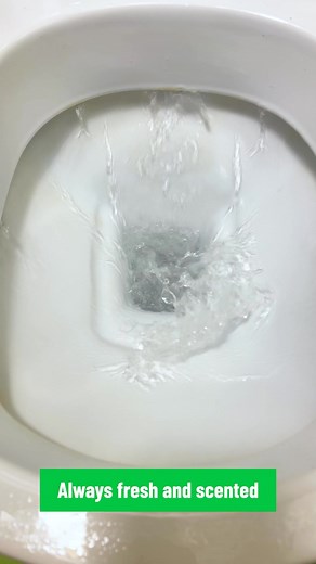 Make Your Toilet Odorless | Productive Panda