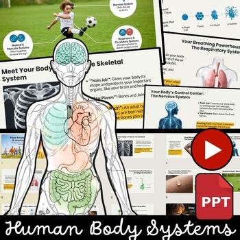 Body Systems Guided Notes | Human Body Systems Project, Posters Video PowerPoint