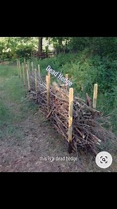 450K views · 9.4K reactions | Great garden decor and useful too! Deadhedges create a habitat for beneficial insects and pollinators as well as birds and snakes. Have you ever made a deadhedge?? Shared for a friend. #garden #nature #deadhedge | James Weston | Facebook