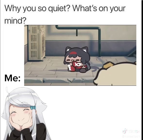 Cute Anime Memes for Animation Lovers