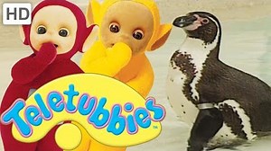 Teletubbies- Penguins - Full Episode