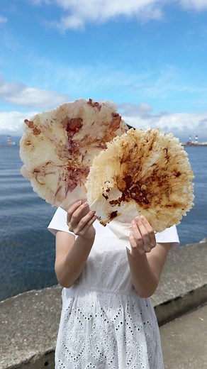 おすすめのアカウント