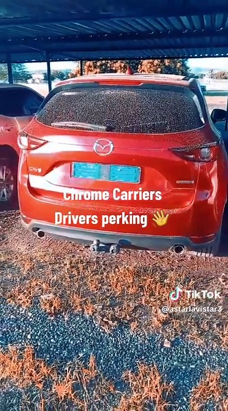 Astar lavistar (@astarlavistar3)’s videos with original sound - Francois Whelan