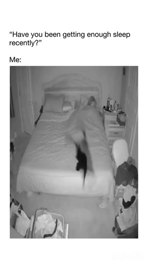 Catscutevidz on Instagram: "Cat owners can all relate 😭 Credit: tt/not.quite.real.lif If credited to “unknown”, we could not find the owner. Please DM for credit or removal. We do not own this video and do not claim to."