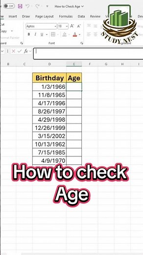 How to Check Age in Excel | DATEDIF + TODAY() Formula Explained | Study Nest